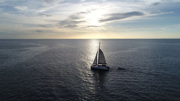  Catamaran Sailing 